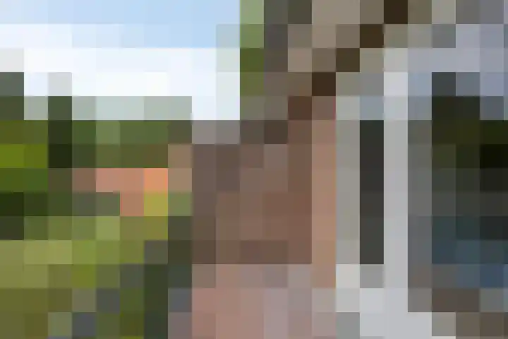 Lyceumlaan 36 Zeist thumbnail 20