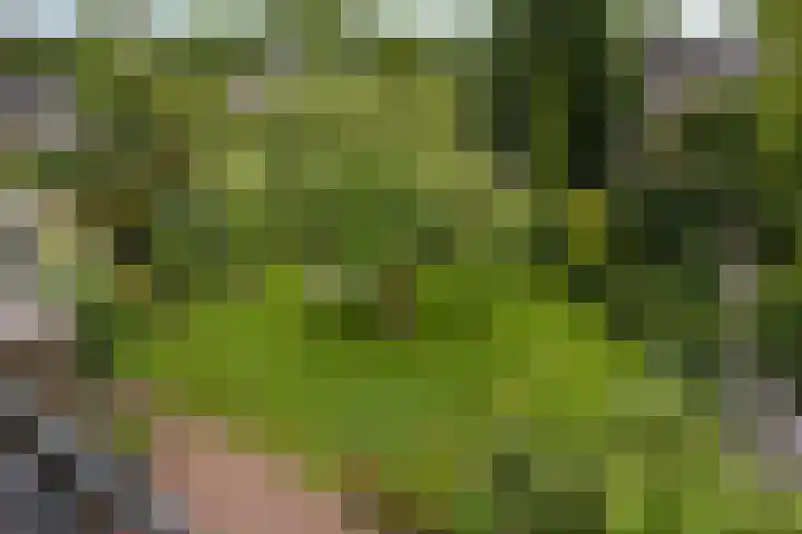 Lyceumlaan 36 Zeist thumbnail 21