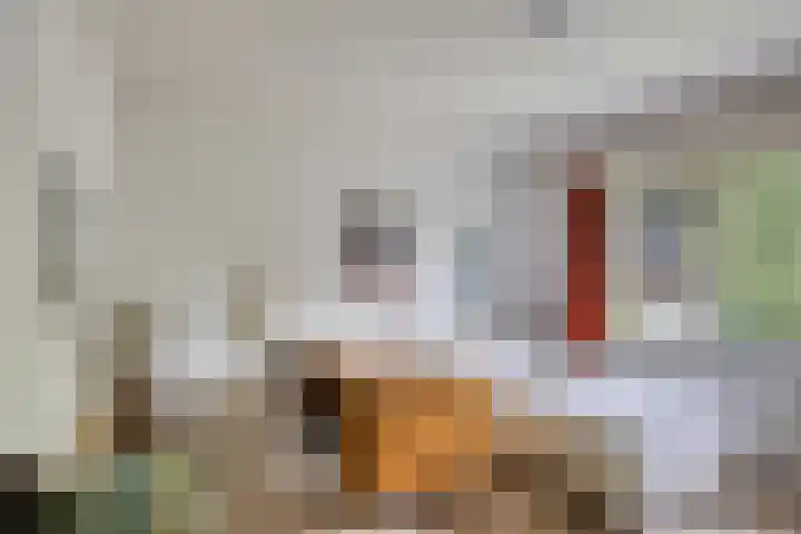 Lyceumlaan 36 Zeist thumbnail 25