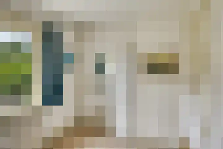 Lyceumlaan 36 Zeist thumbnail 28