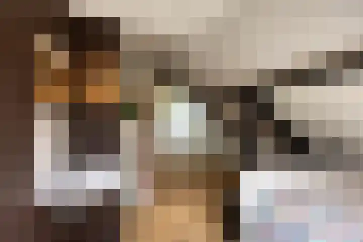 Lyceumlaan 36 Zeist thumbnail 33