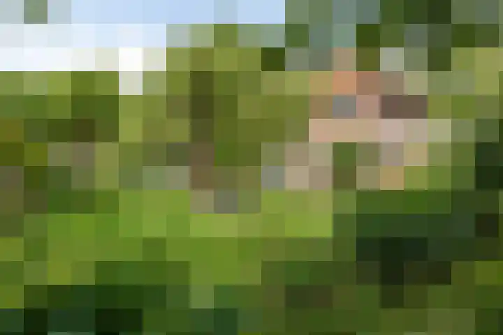 Lyceumlaan 36 Zeist thumbnail 34