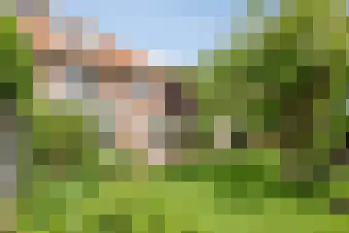 Lyceumlaan 36 Zeist thumbnail 35