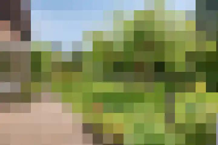 Lyceumlaan 36 Zeist thumbnail 37