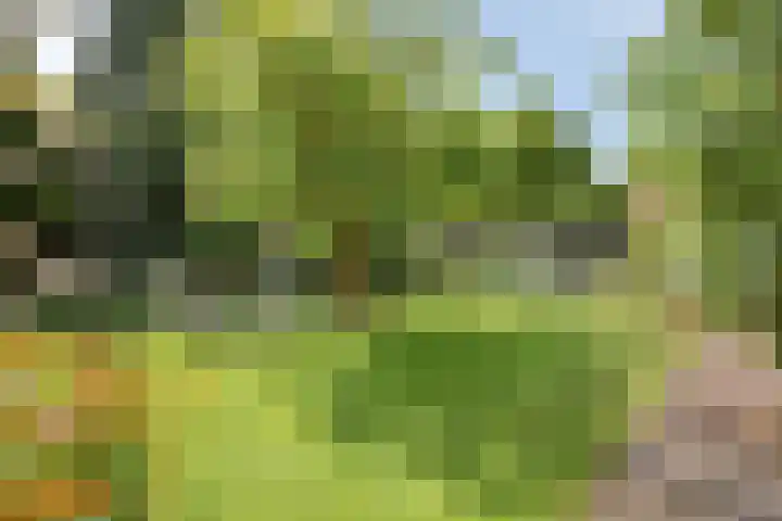 Lyceumlaan 36 Zeist thumbnail 38