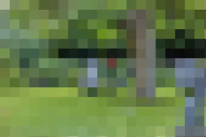 Lyceumlaan 36 Zeist thumbnail 39
