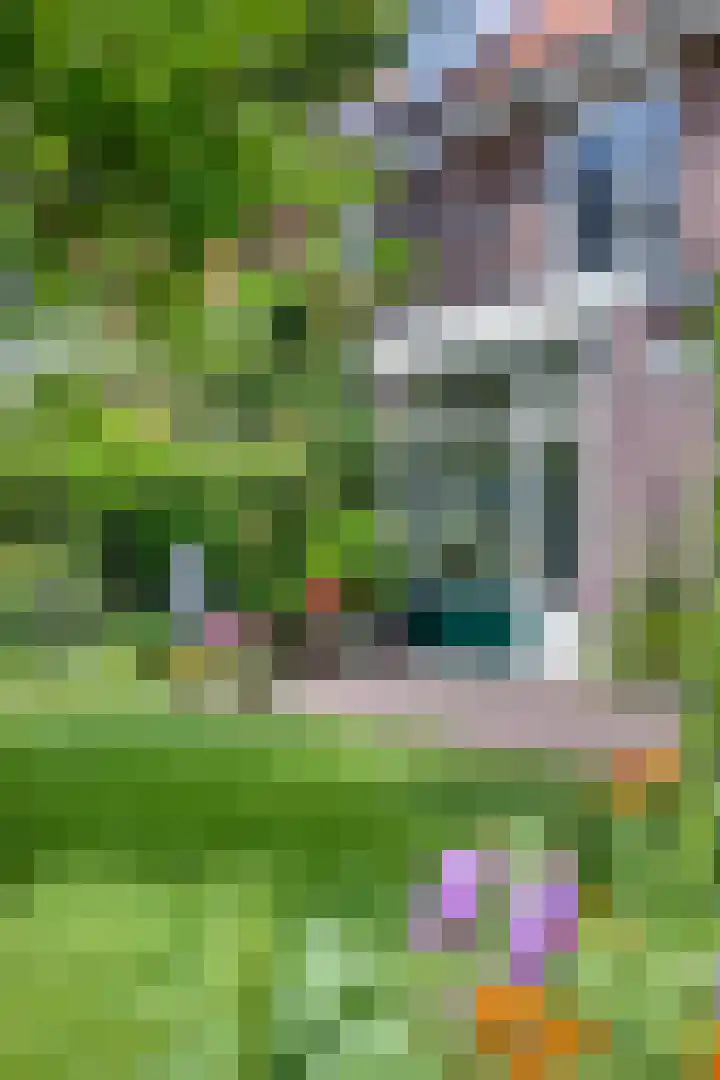 Lyceumlaan 36 Zeist thumbnail 40