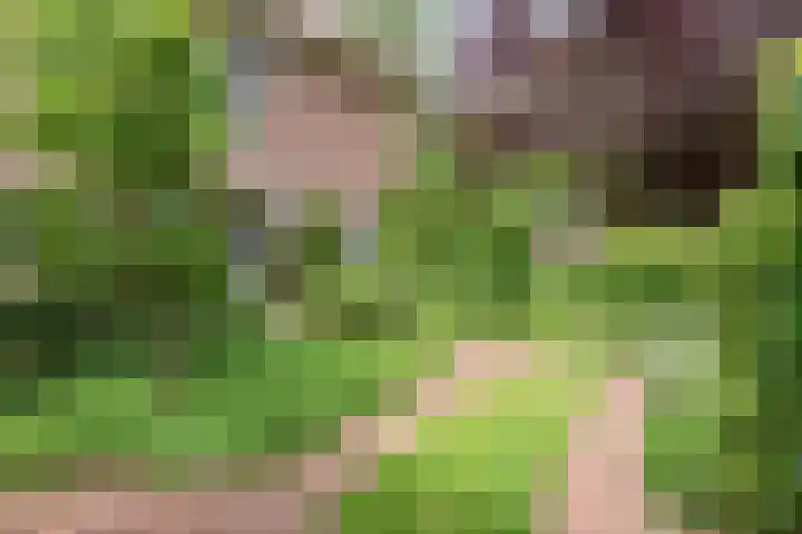 Lyceumlaan 36 Zeist thumbnail 41