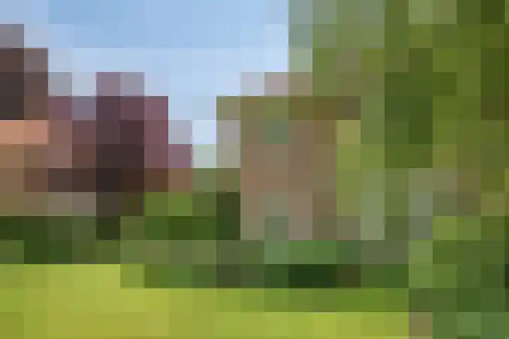 Lyceumlaan 36 Zeist thumbnail 43