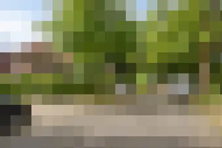 Lyceumlaan 36 Zeist thumbnail 44