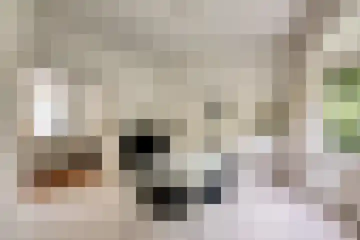 Lyceumlaan 36 Zeist thumbnail 5