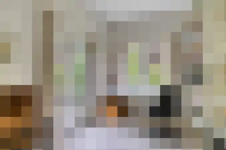 Lyceumlaan 36 Zeist thumbnail 7