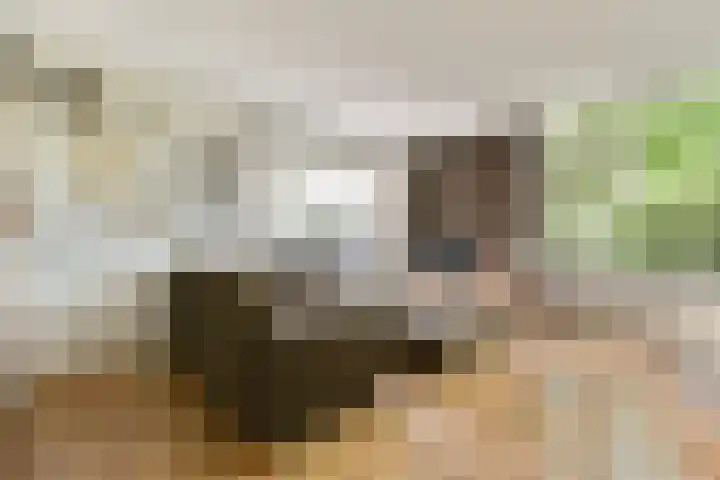 Lyceumlaan 4 Vlaardingen thumbnail 10