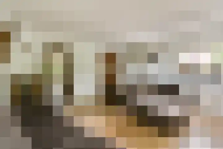 Lyceumlaan 4 Vlaardingen thumbnail 11