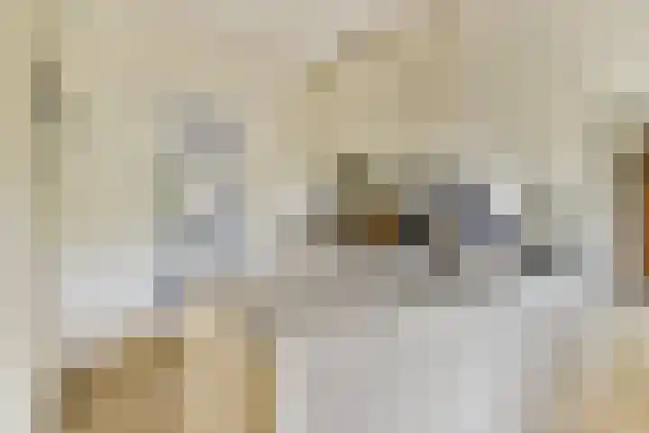 Lyceumlaan 4 Vlaardingen thumbnail 15