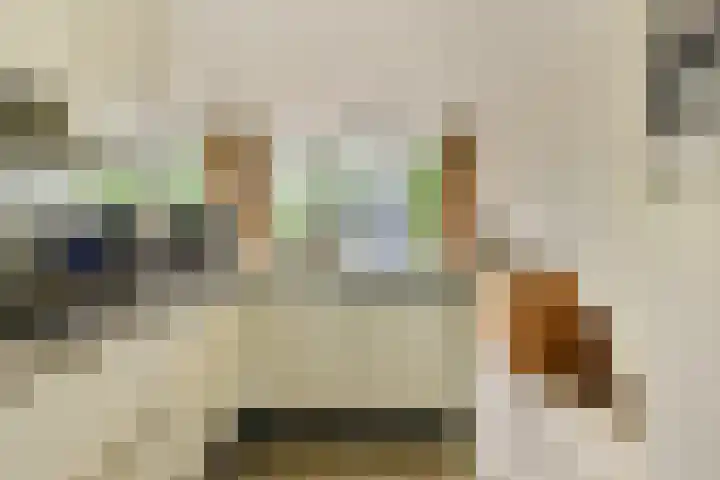 Lyceumlaan 4 Vlaardingen thumbnail 16