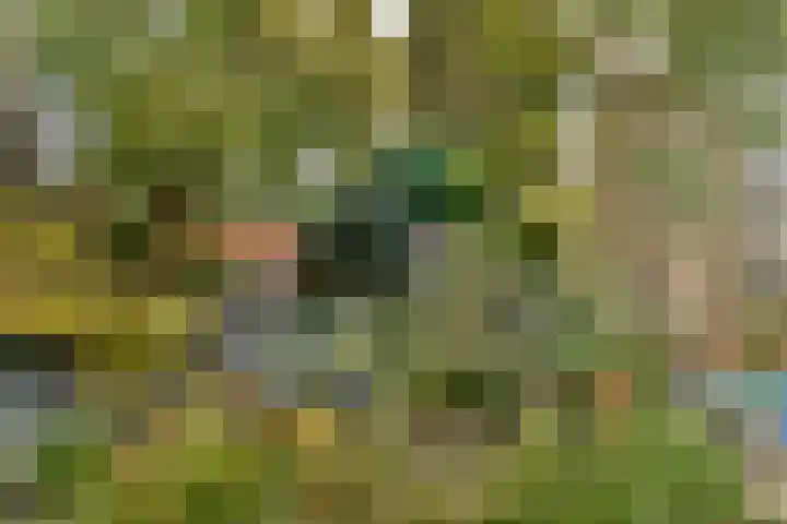 Lyceumlaan 4 Vlaardingen thumbnail 17
