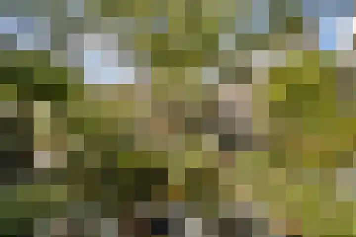 Lyceumlaan 4 Vlaardingen thumbnail 18