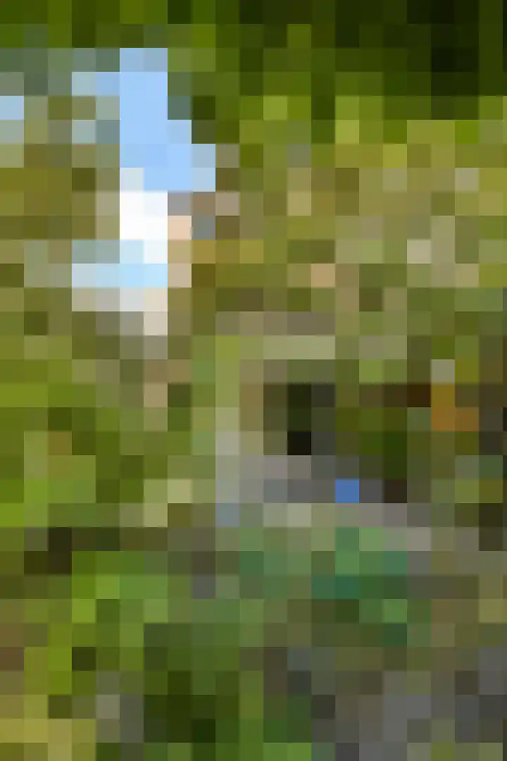 Lyceumlaan 4 Vlaardingen thumbnail 19
