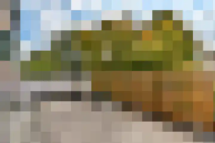 Lyceumlaan 4 Vlaardingen thumbnail 29