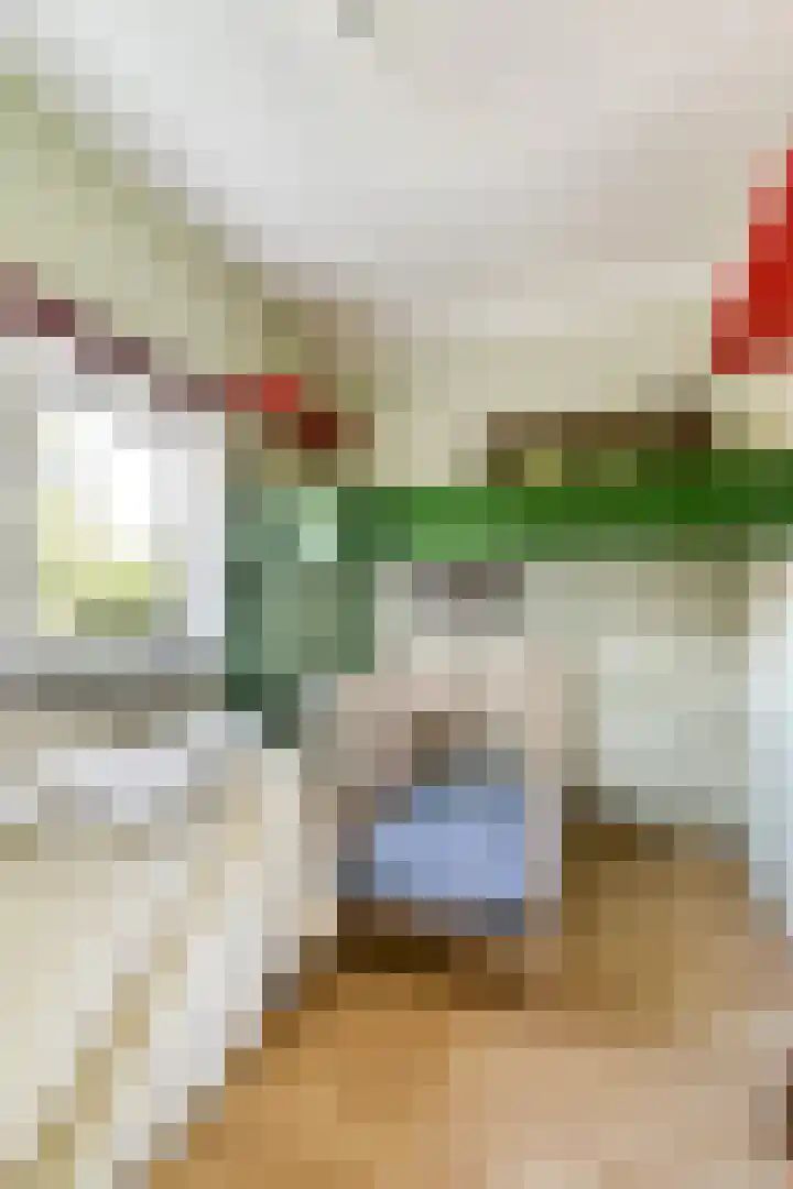 Lyceumlaan 4 Vlaardingen thumbnail 32