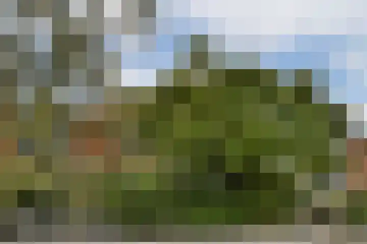 Lyceumlaan 4 Vlaardingen thumbnail 37
