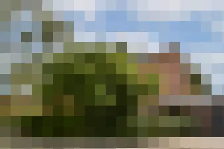Lyceumlaan 4 Vlaardingen thumbnail 4