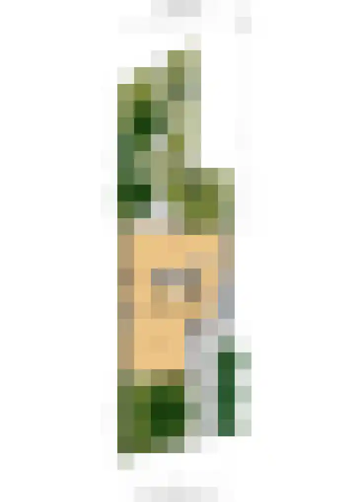 Lyceumlaan 4 Vlaardingen thumbnail 44