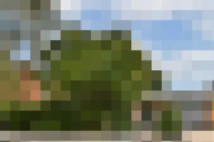 Lyceumlaan 4 Vlaardingen thumbnail 45