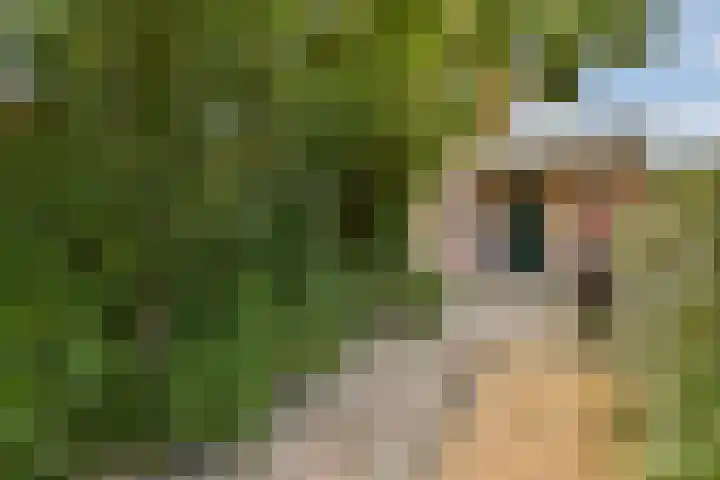 Lyceumlaan 4 Vlaardingen thumbnail 5