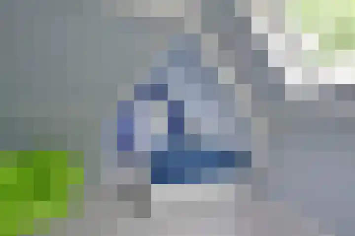 Lyceumlaan 40 Zeist thumbnail 21