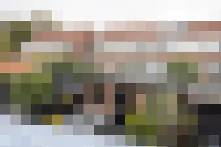 Lyceumstraat 19 Alkmaar thumbnail 20