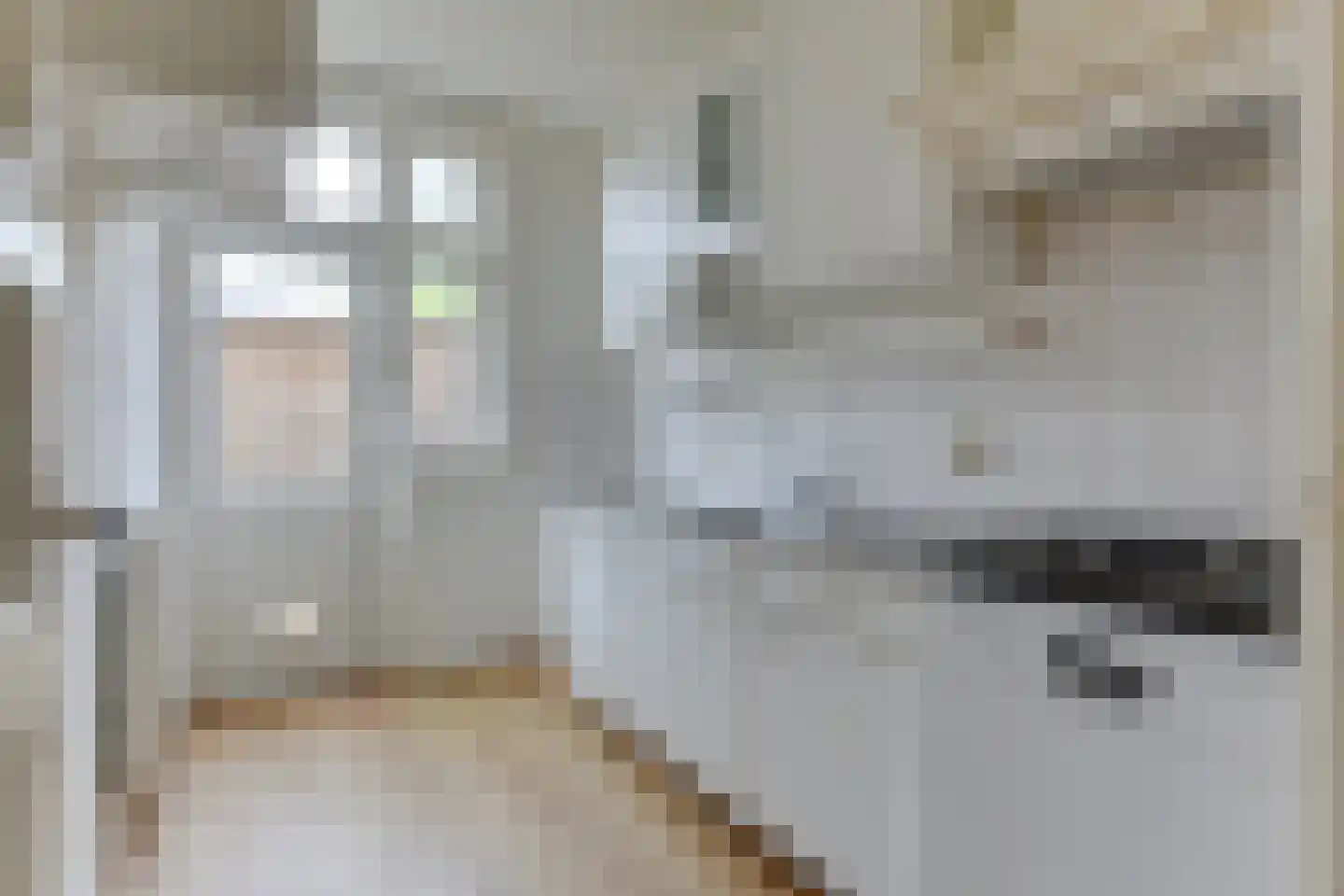 Lyceumstraat 58 Alkmaar thumbnail 13