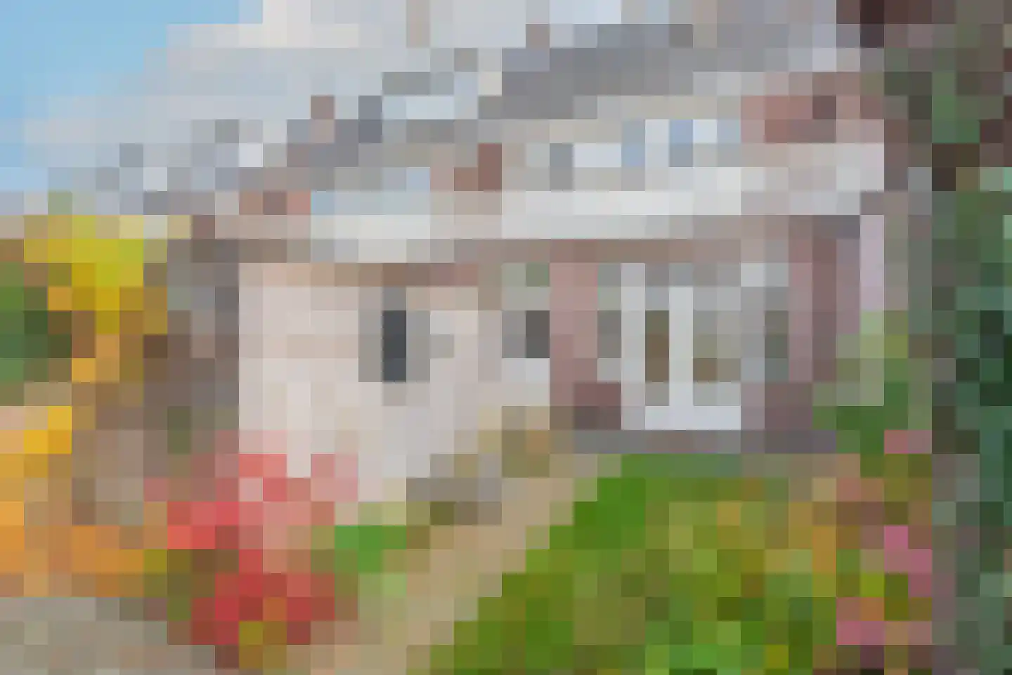 Lyceumstraat 58 Alkmaar thumbnail 36