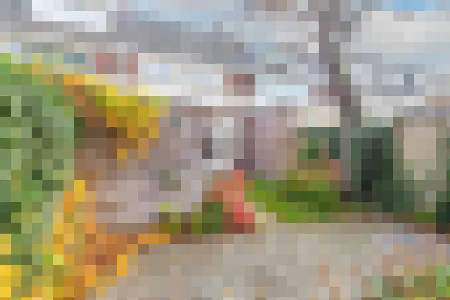 Lyceumstraat 58 Alkmaar thumbnail 40