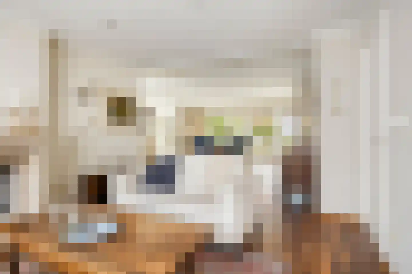 Lyceumstraat 7 Hulst thumbnail 11