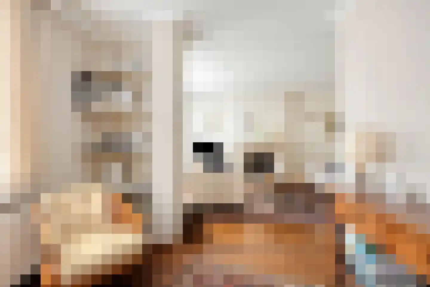 Lyceumstraat 7 Hulst thumbnail 13