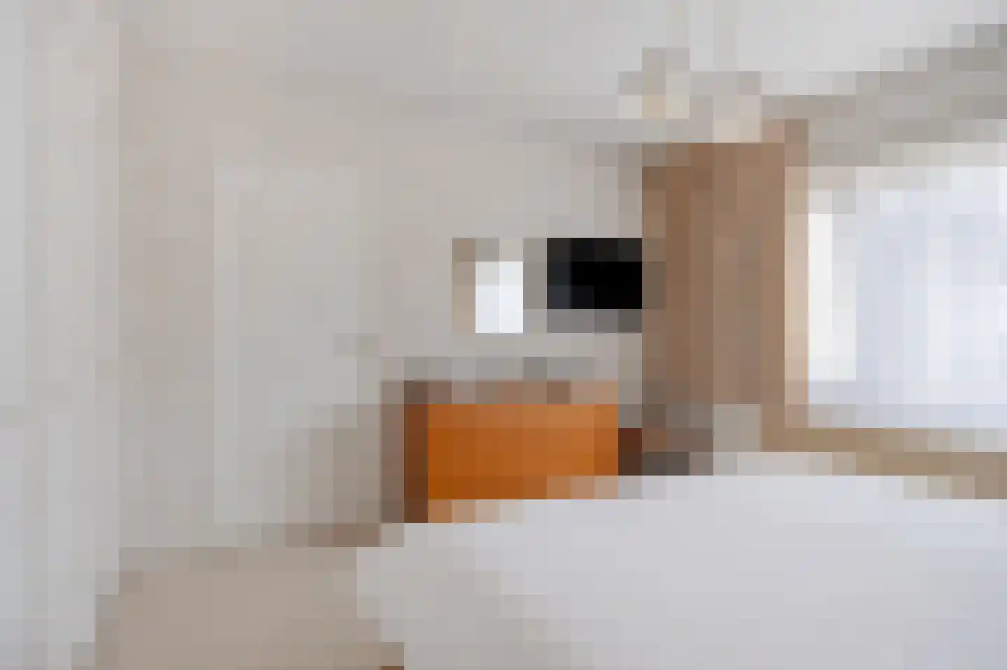Lyceumstraat 7 Hulst thumbnail 24