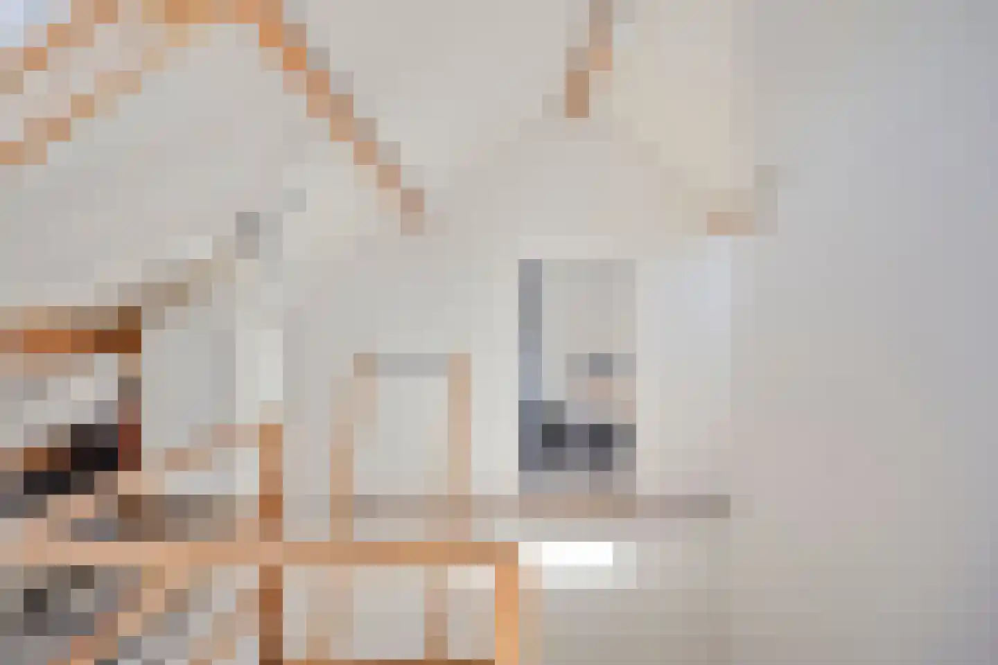 Lyceumstraat 7 Hulst thumbnail 31