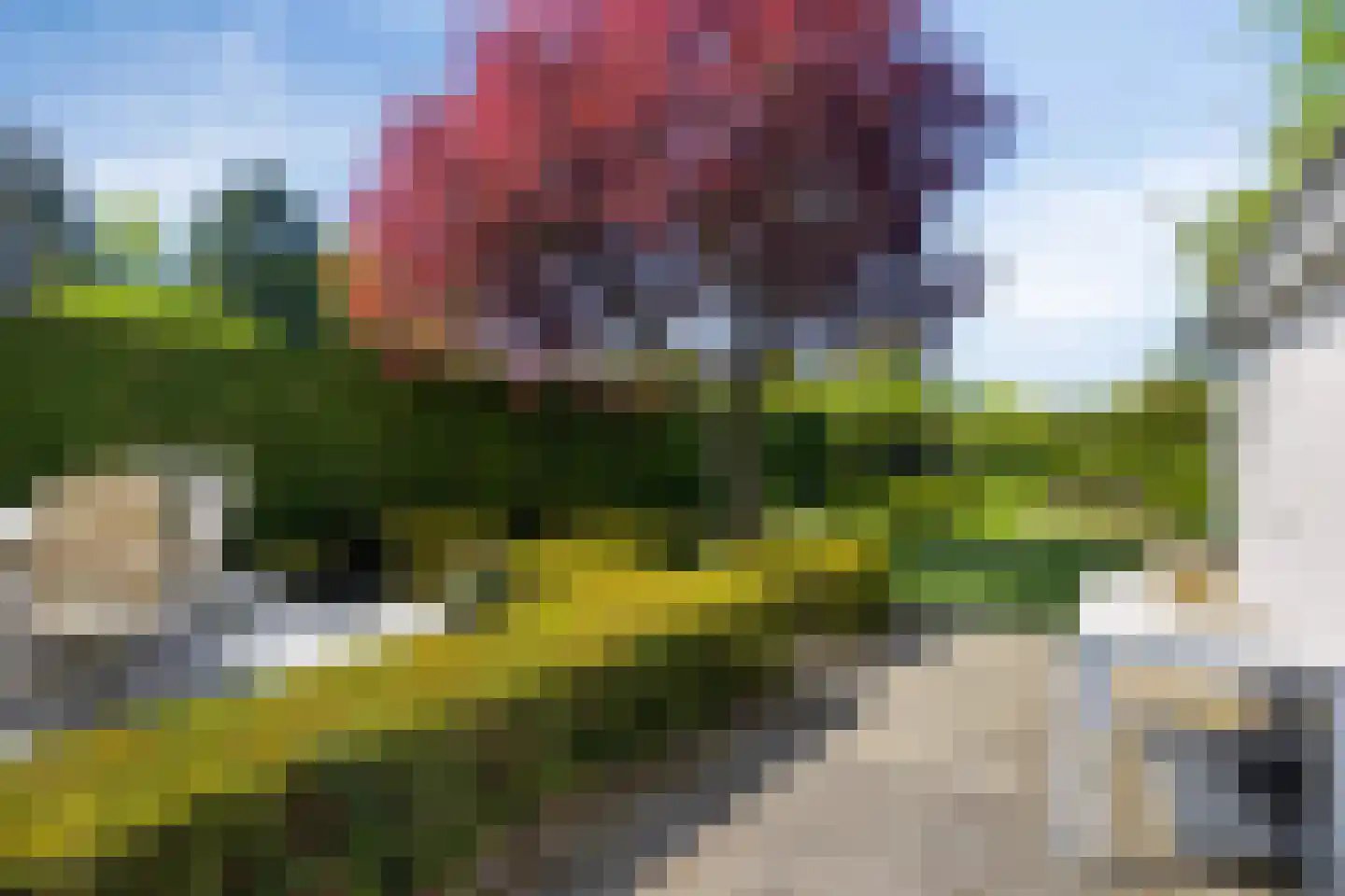 Lyceumstraat 7 Hulst thumbnail 34