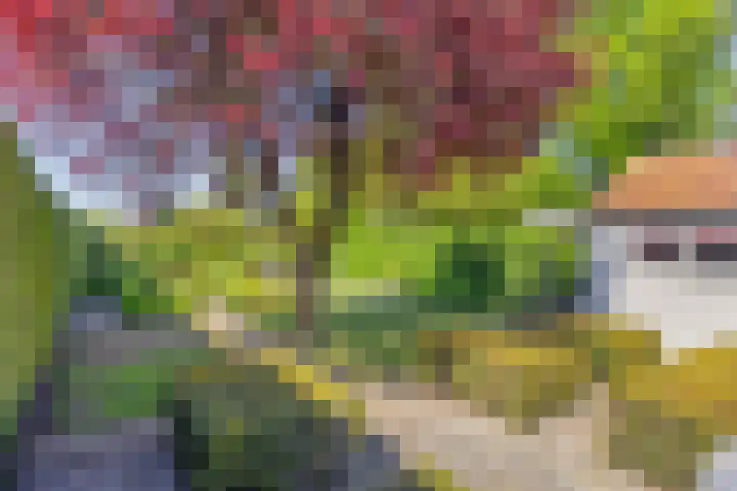 Lyceumstraat 7 Hulst thumbnail 35
