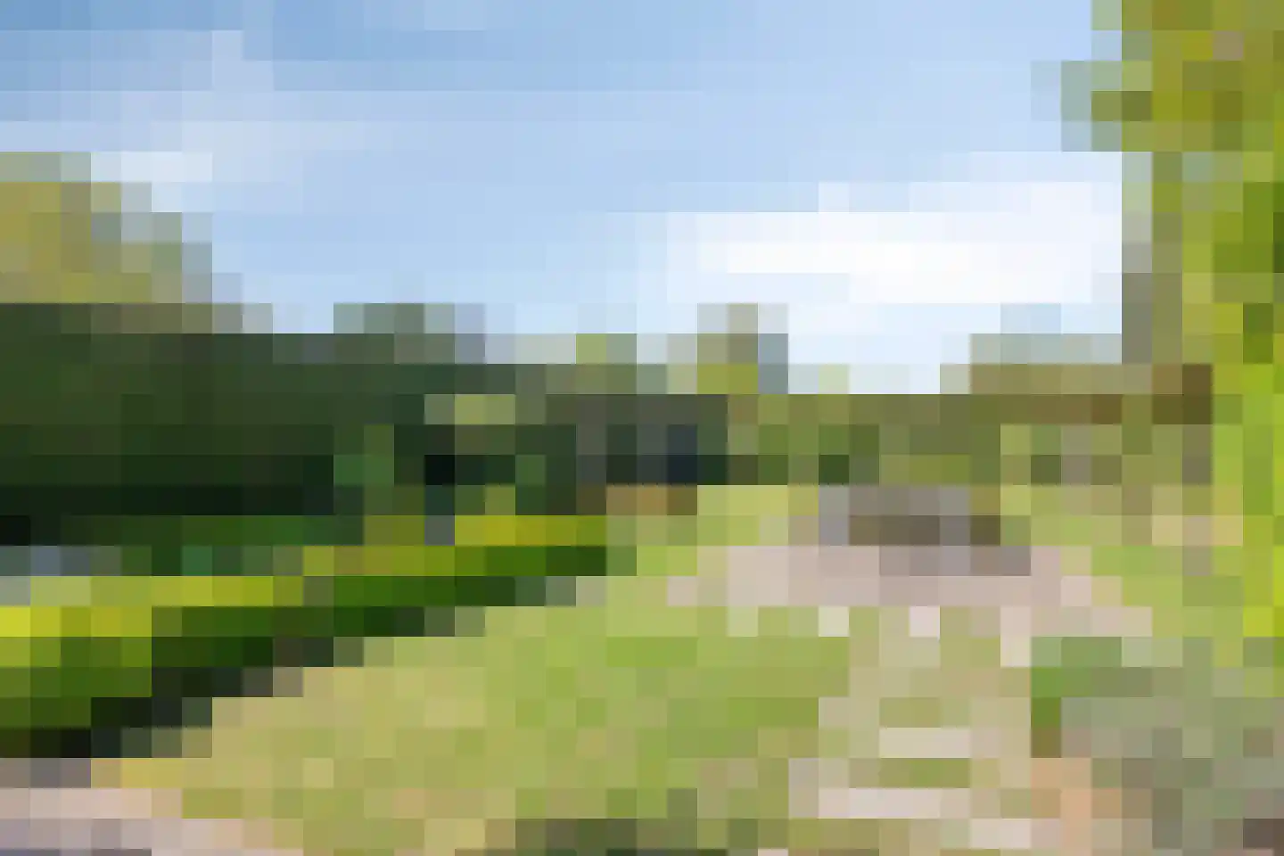 Lyceumstraat 7 Hulst thumbnail 38