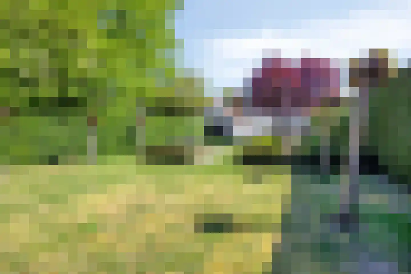 Lyceumstraat 7 Hulst thumbnail 40