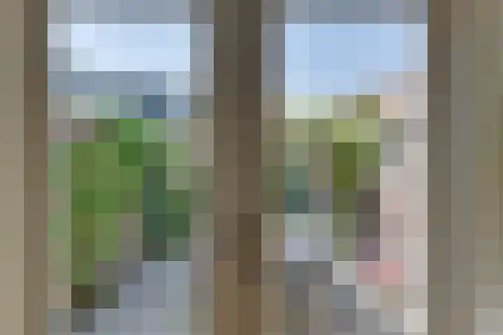 Lyceumstraat 72 Alkmaar thumbnail 21