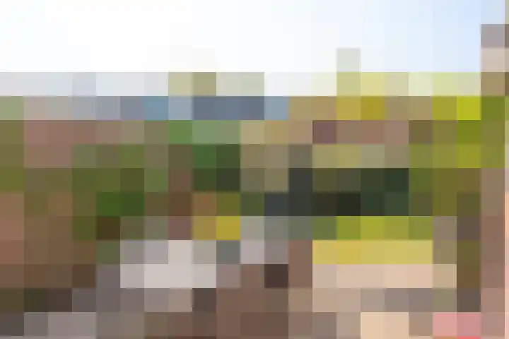 Lyceumstraat 72 Alkmaar thumbnail 6