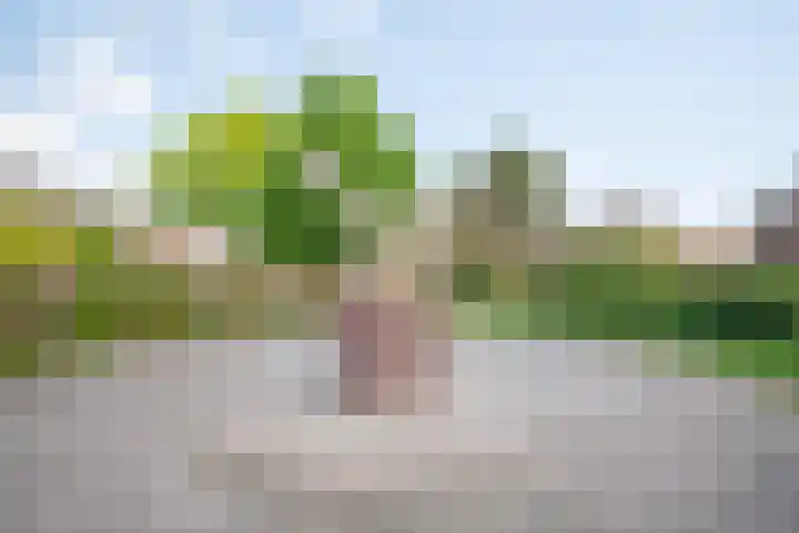 Lyceumstraat 72 Alkmaar thumbnail 64