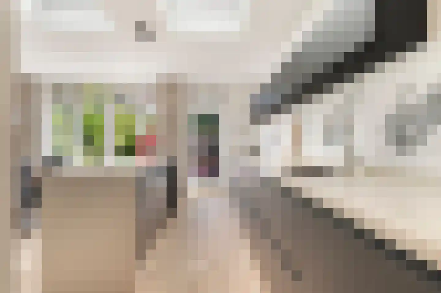 Lyceumstraat 81 Alkmaar thumbnail 17