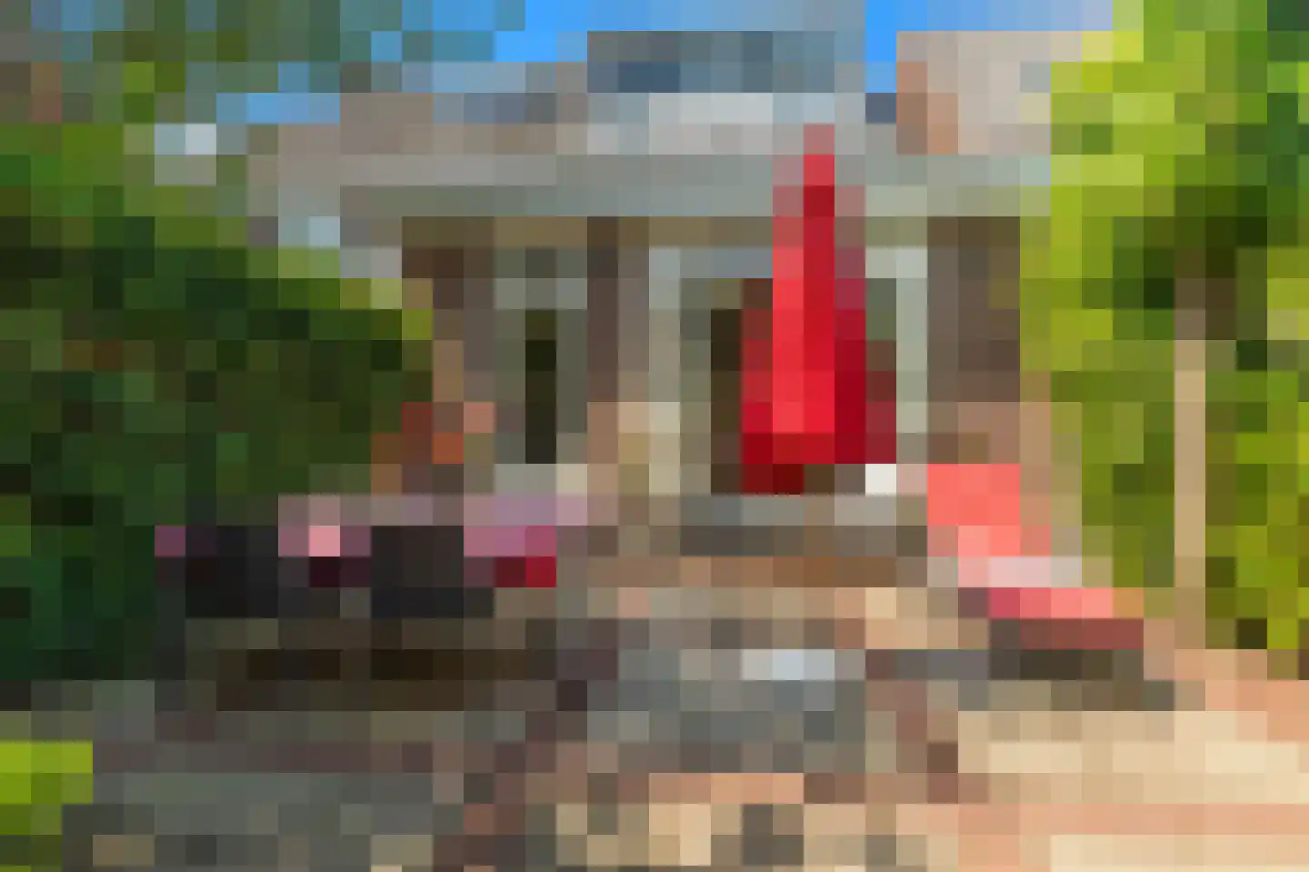 Lyceumstraat 81 Alkmaar thumbnail 23