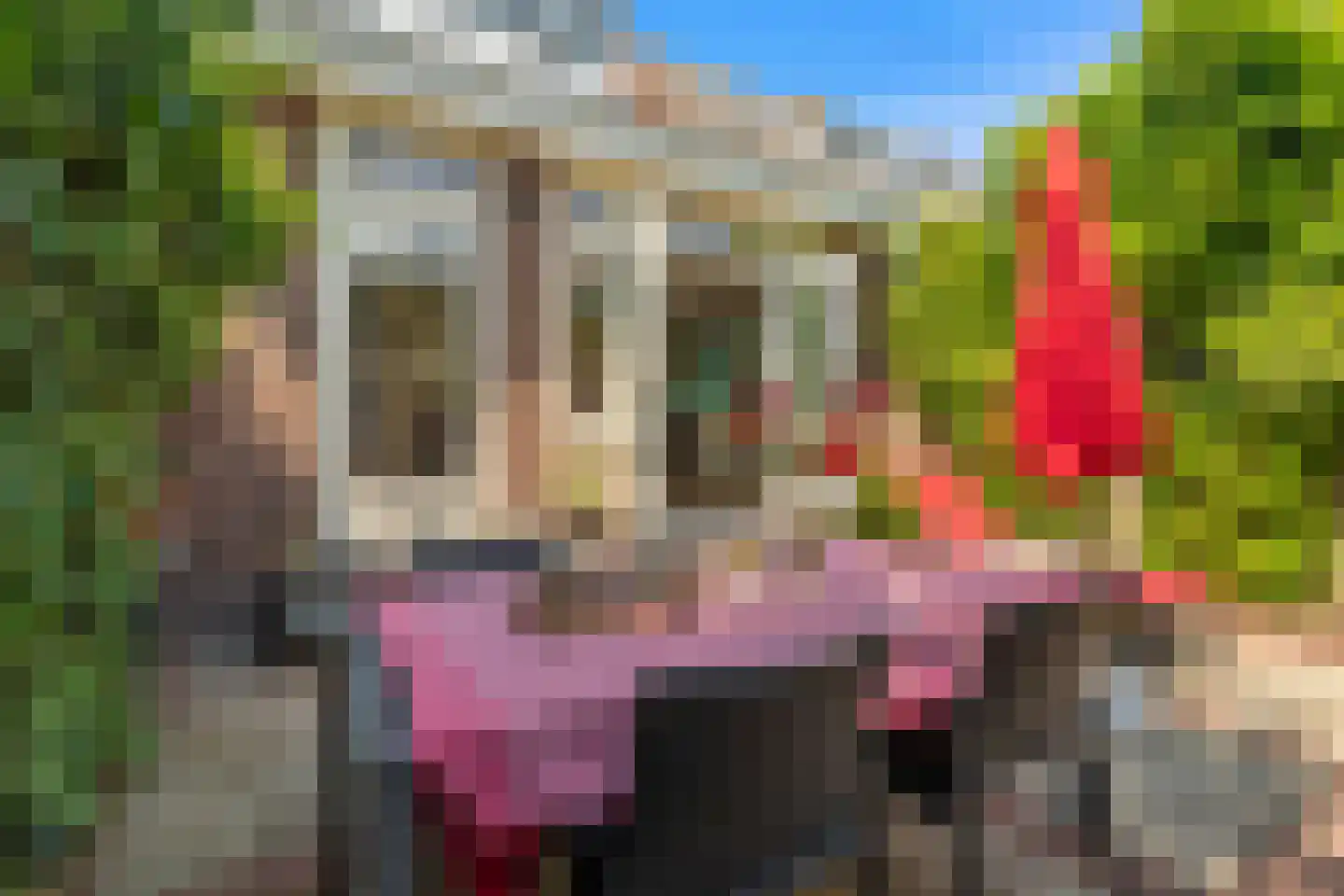 Lyceumstraat 81 Alkmaar thumbnail 24