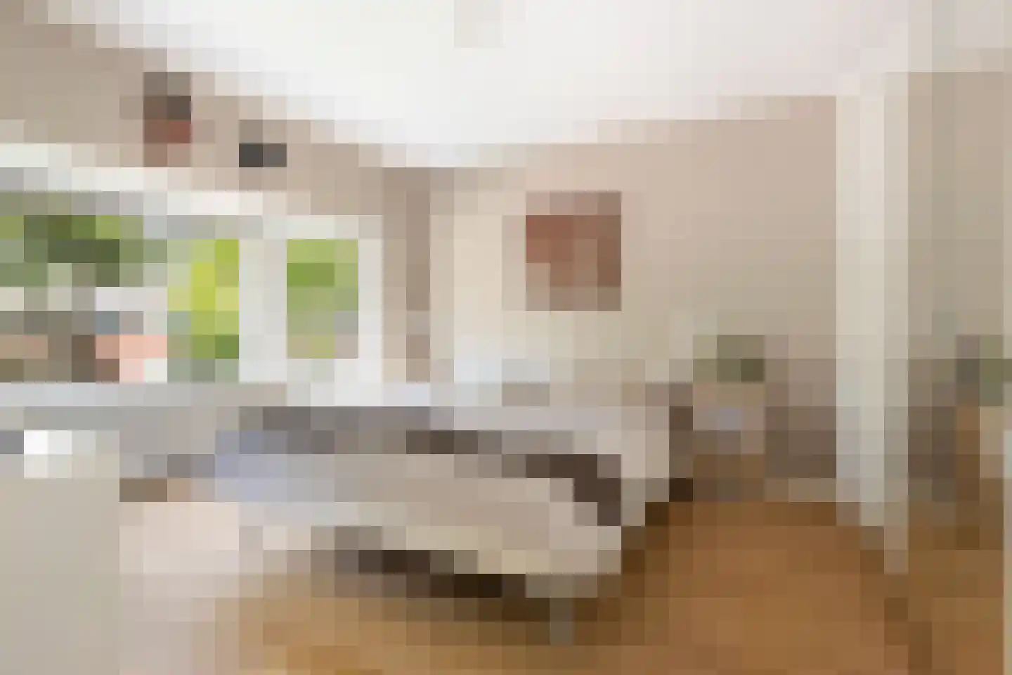 Lyceumstraat 81 Alkmaar thumbnail 26